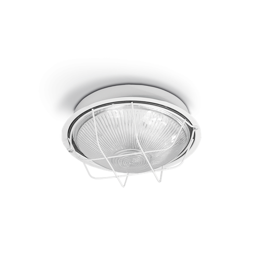 [8500-01/SJ] TORTUGA REDONDA CHICA BLANCO